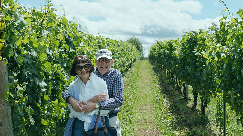 Retirees - IIF articl