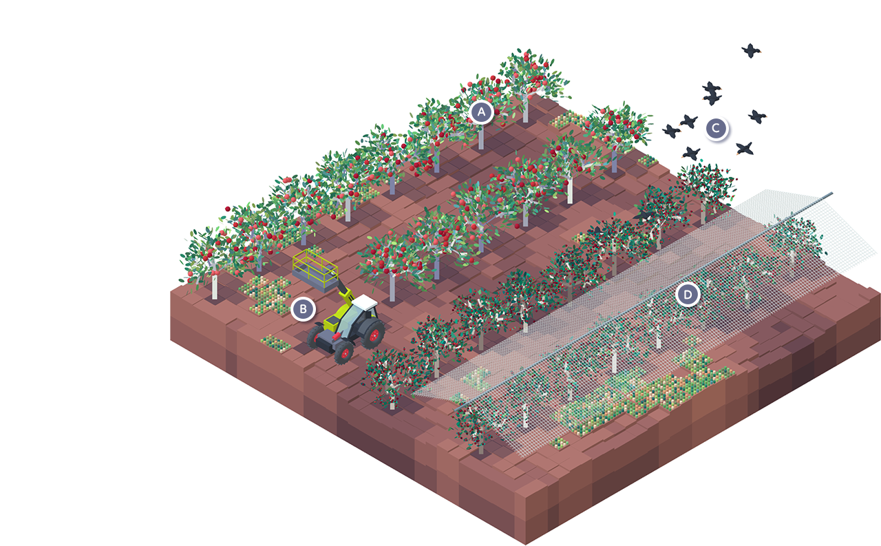 For Farmers - Invest Inya Farmer