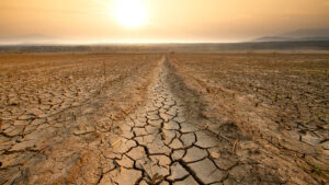 Reducing water