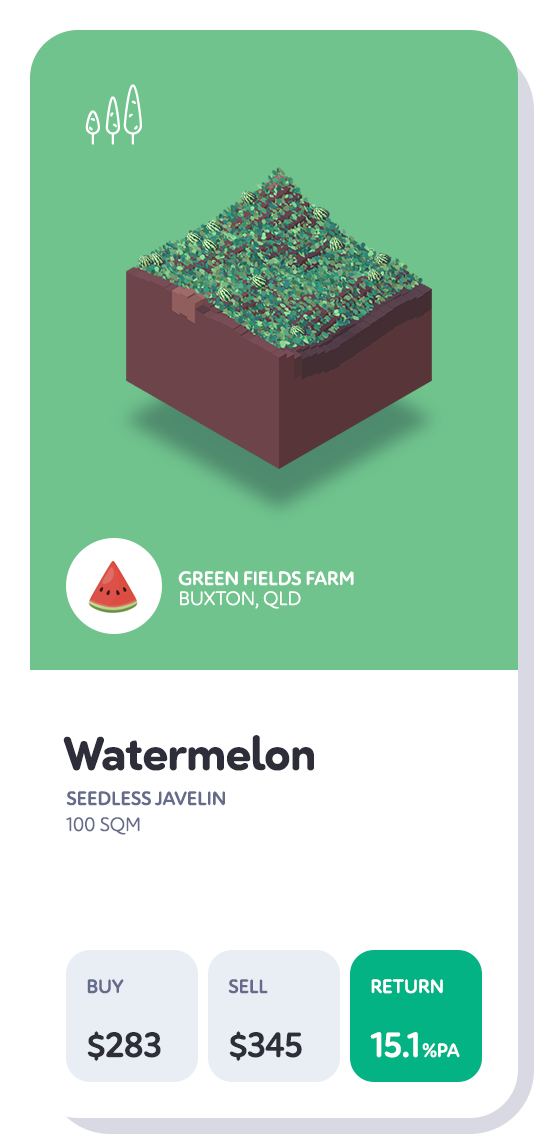 watermelonB