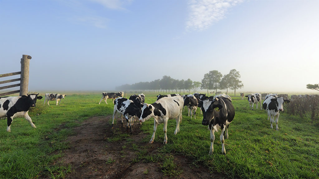 The cream rises - IIF article