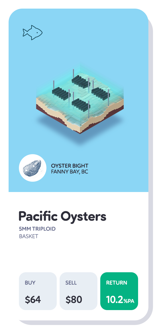 oysterCardB--ca