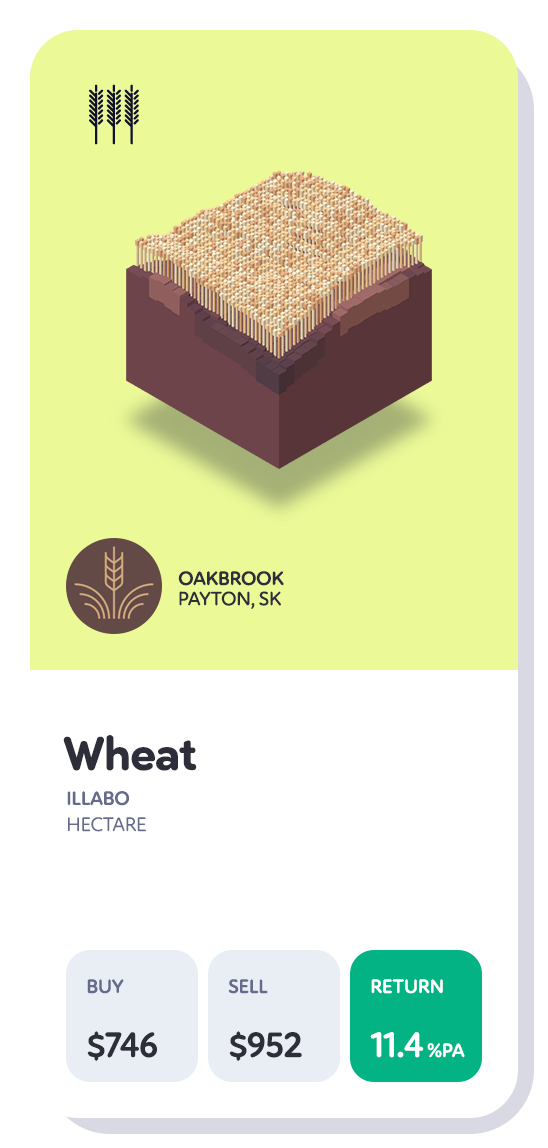 wheatCardB--ca