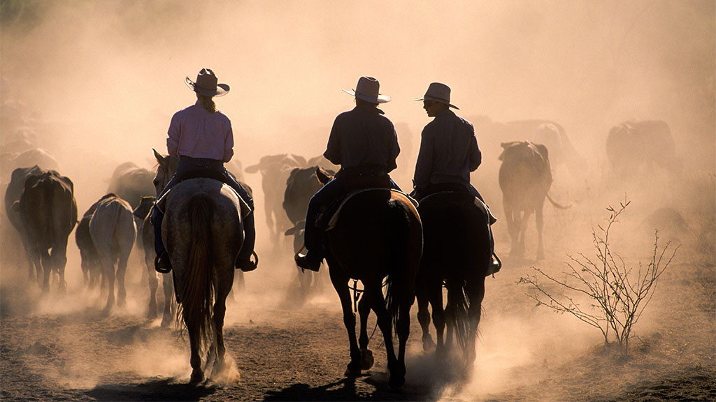 Going organic on a grand scale