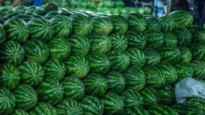 The Hidden Price of Freight