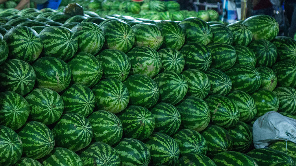 The Hidden Price of Freight